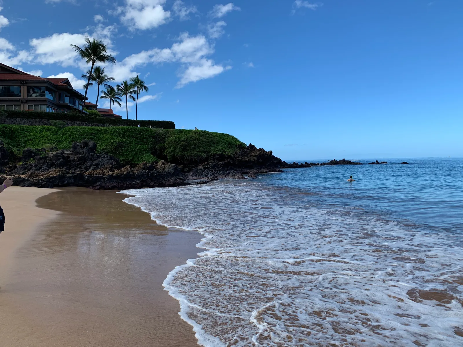 Sandy beach meeting a rocky headland with palms and houses above