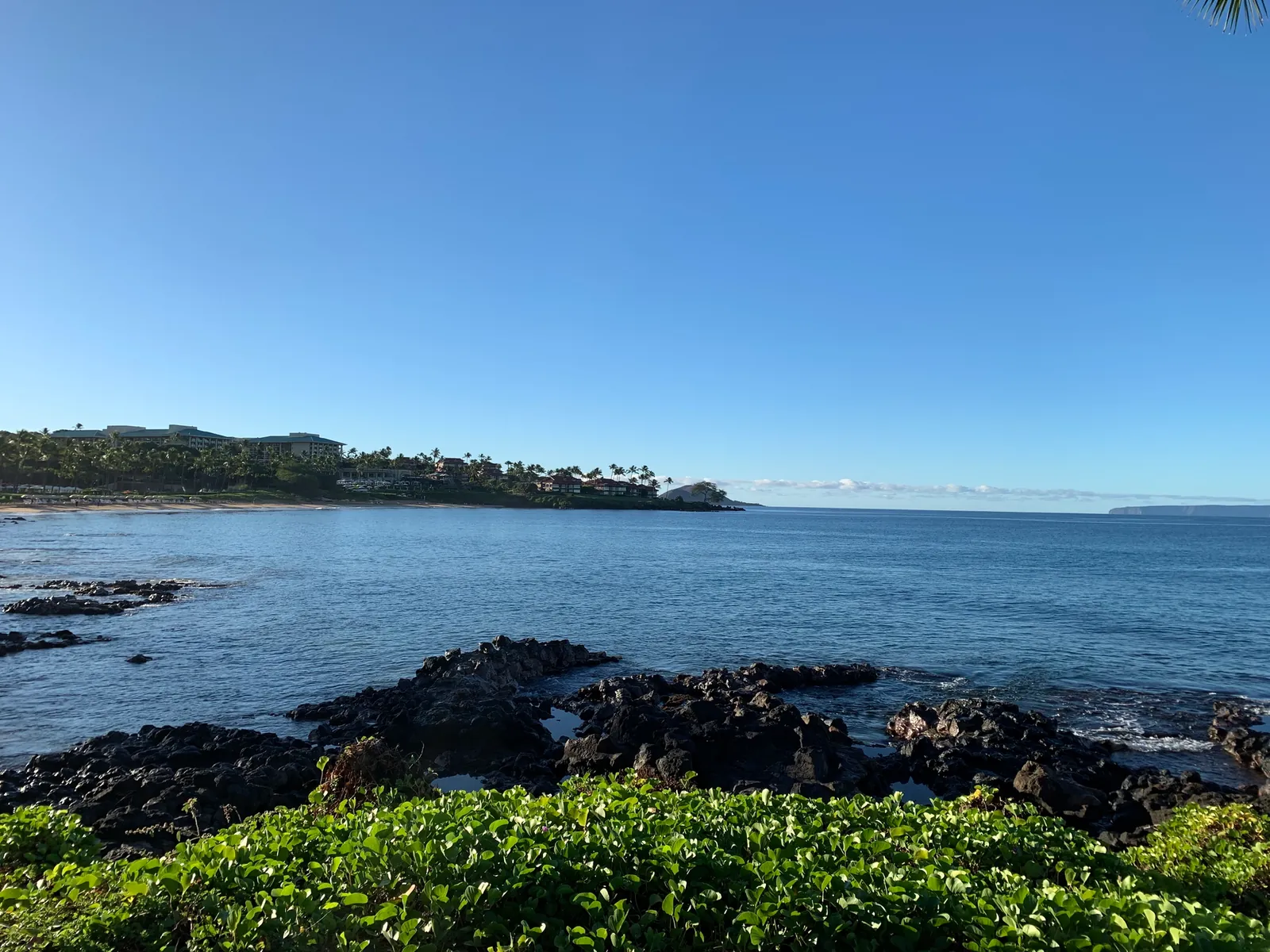 Low lava shelf along the shoreline with calm pale water beyond