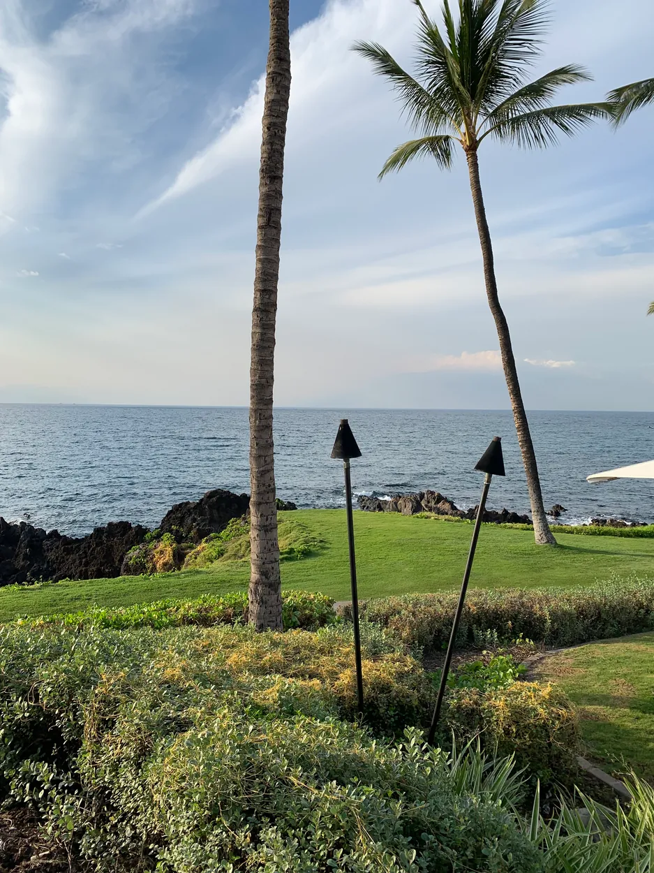 Palms and unlit torches on a lawn beside a coastal path