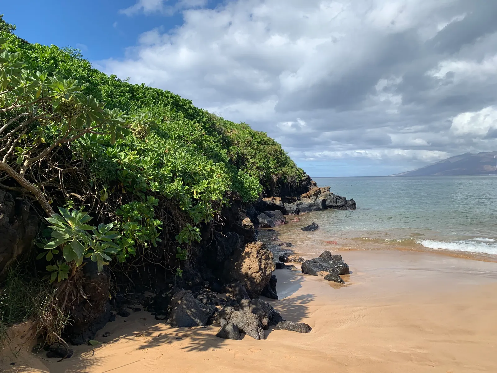 Small sandy cove between a green slope and dark rocks