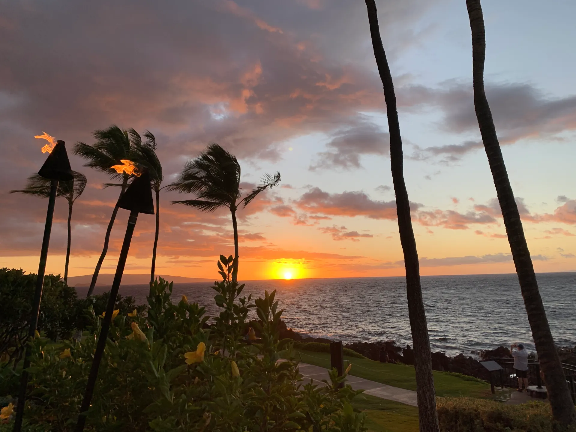 Lit torches and wind blown palms silhouetted against a sunset