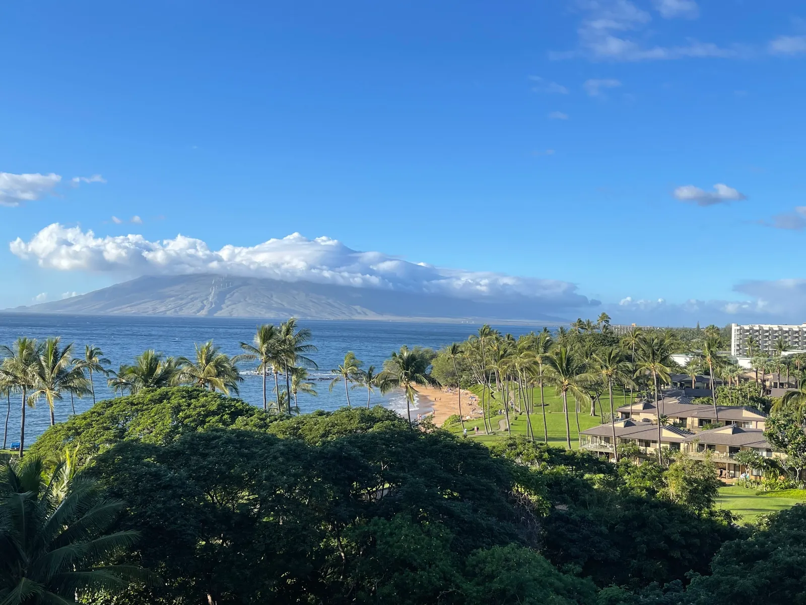 Elevated view over palms and gardens to Ulua Beach with mountains across the bay