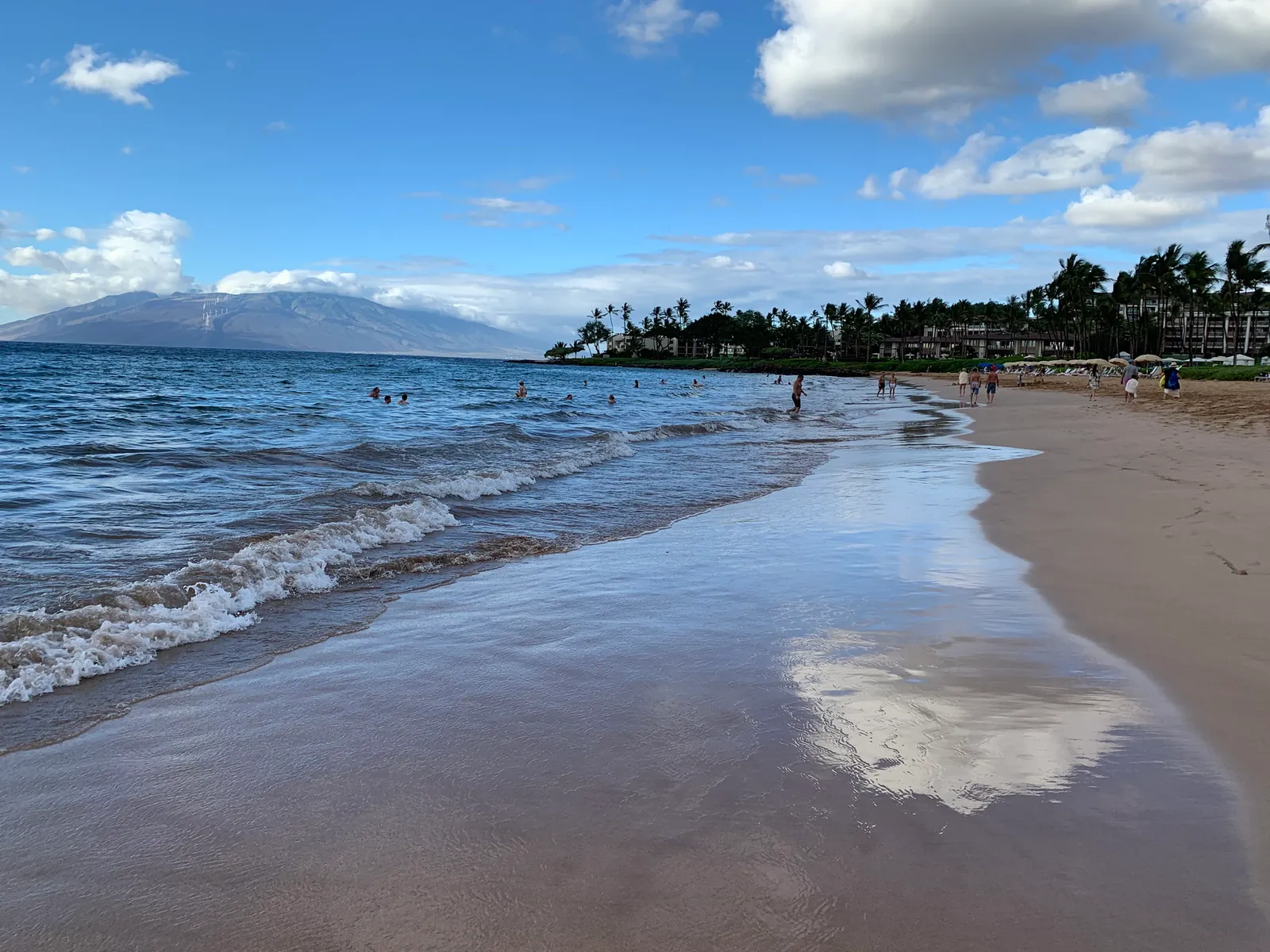 Wet sand reflecting palms with mountains across the bay beyond