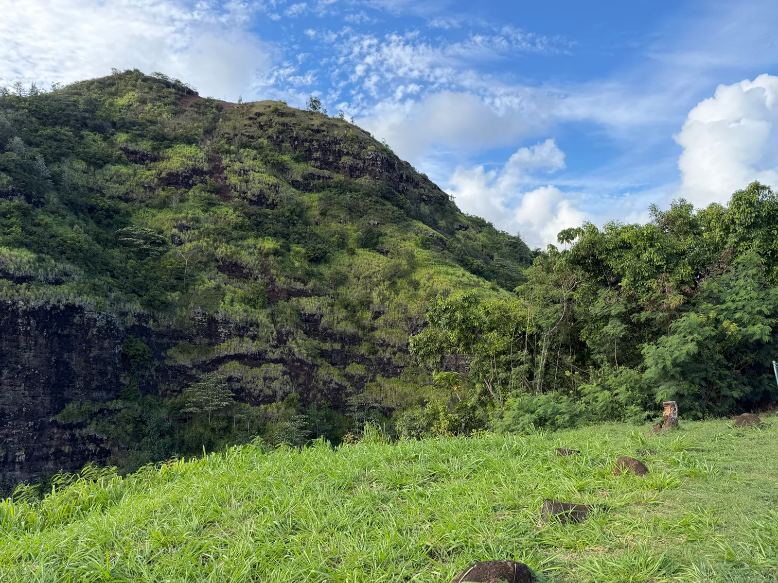 A steep green ridge covered in dense forest above the Wailua valley on Kauai