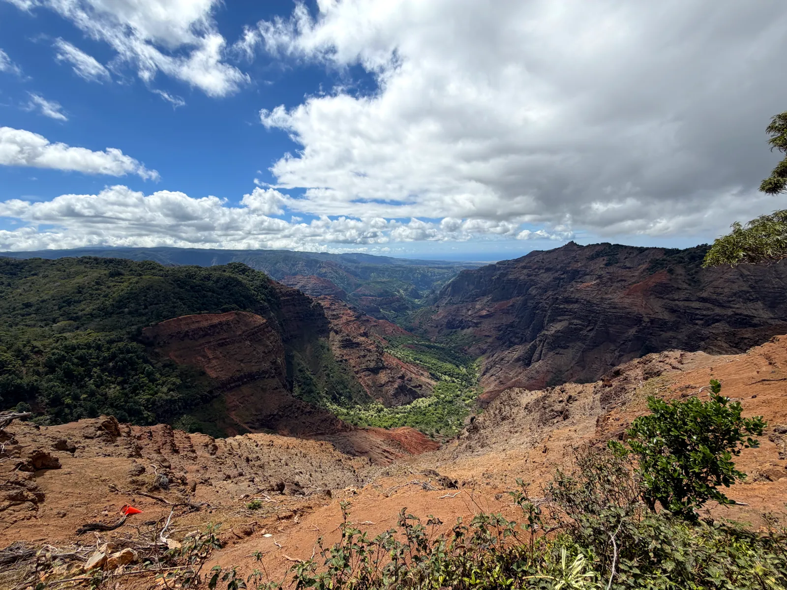 A green side canyon in Waimea with striped red cliffs framed by a tree, from the upper lookout