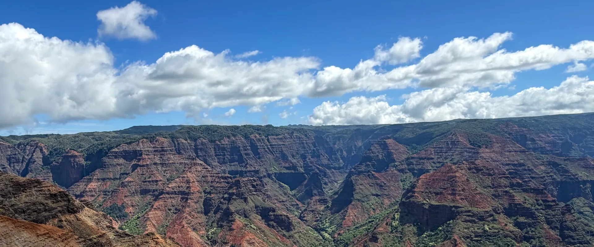 Close view of Waimea Canyon walls showing red rock strata and green vegetation in the folds